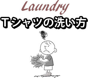 laundry y TVc̐􂢕 z